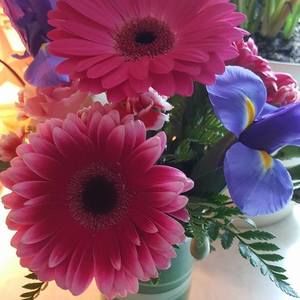 Meet your Posher, Paula